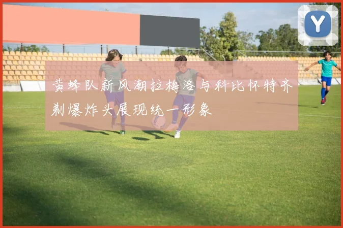 黄蜂队新风潮拉梅洛与科比怀特齐剃爆炸头展现统一形象