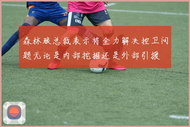 森林狼总裁表示将全力解决控卫问题无论是内部挖掘还是外部引援